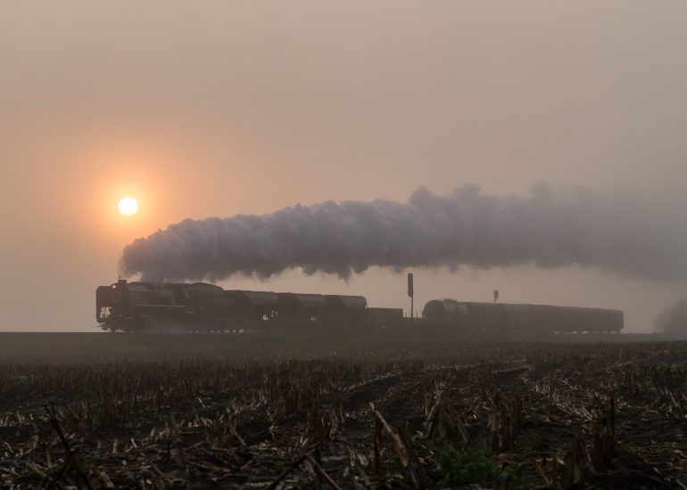 Der Dampfzug mit der slowakischen Güterzuglok 556.036 arbeitet sich mit einer ordentlichen Dampffahne am abgeerntetem Feld in der Nähe von Bludov (CZ) vorbei.