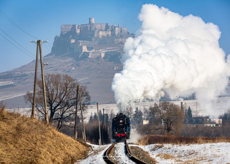Papagei 477.013 unterhalb der Zipser Burg