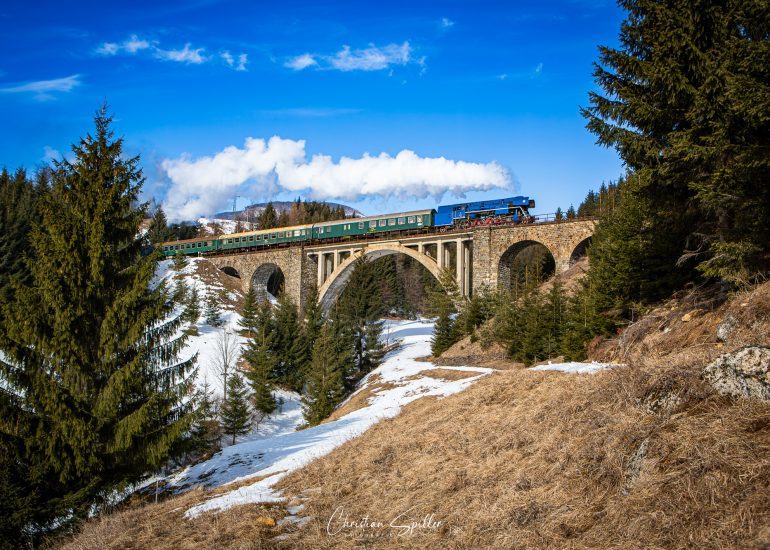 Fototour mit dem Papagei 477.013 auf dem Telgart-Viadukt